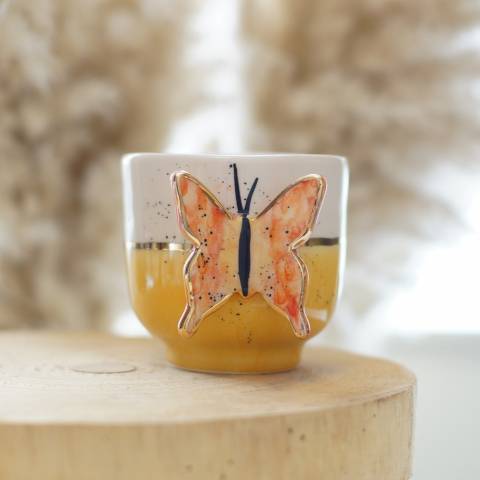 Butterfly in orange